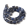 Natural Blue Spot Jasper Beads Strands G-L596-A07-01-3