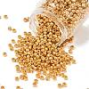 TOHO 6/0 Round Beads X-SEED-TR06-0715-1