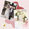 300Pcs Polyester Artificial Rose Flower Petals FIND-CN0002-43A-5