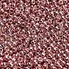 TOHO 6/0 Round Beads X-SEED-TR06-PF0552-3