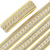 10 Yards Ethnic Style Polyester Ribbon for Sewing Decoration OCOR-CY0001-86C-1