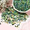 MIYUKI Seed Beads Mix Y-SEED-Z005-01E-4