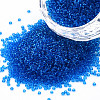 15/0 Transparent Czech Glass Seed Beads SEED-N004-004-06-1