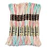 10 Skeins 6-Ply Polyester Embroidery Floss OCOR-K006-A74-1