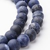 Frosted Round Natural Sodalite Bead Strands G-J346-25-8mm-1