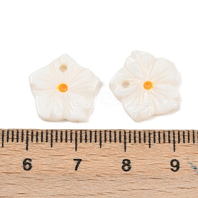 Natural Freshwater Shell Flower Charms SHEL-B005-02-1