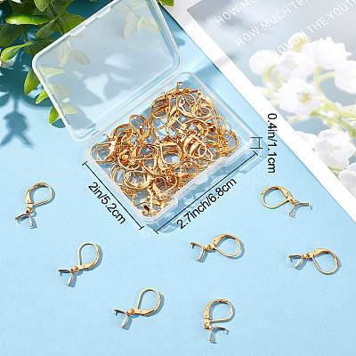 50Pcs 304 Stainless Steel Leverback Earring Findings with Pendant Bails STAS-BBC0001-52G-1