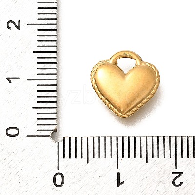 304 Stainless Steel Charms STAS-D288-04G-1