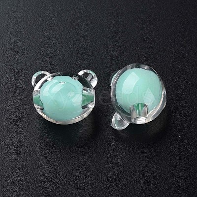 Transparent Acrylic Beads MACR-S373-122-B03-1