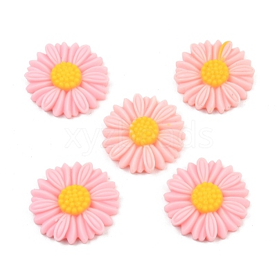 Opaque Resin Cabochons LS-RESI-XCP0002-48-1