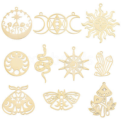 20Pcs 10 Style Ion Plating(IP) 201 & 304  Stainless Steel Pendants STAS-SC0004-74-1