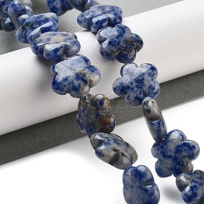 Natural Blue Spot Jasper Beads Strands G-F769-D01-01-1
