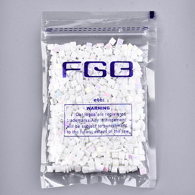 FGB 2-Hole Glass Seed Beads SEED-S031-L-ST41-R-1
