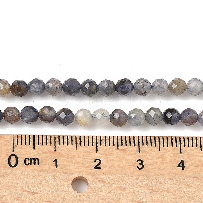 Natural Iolite Beads Strands G-G188-B04-06A-1