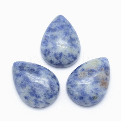 Natural Blue Spot Jasper Cabochons G-E491-B-23-1