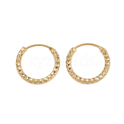Brass Textured Hoop Earrings EJEW-F378-03B-G-1