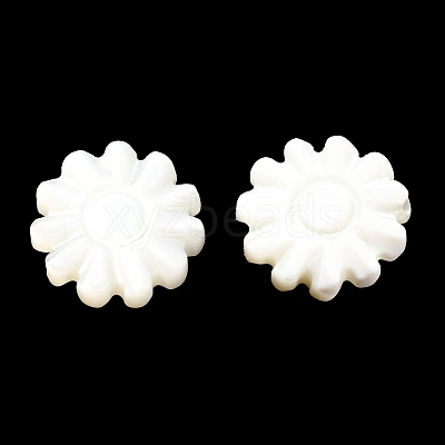 Natural Trochid Shell/Trochus Shell Beads SSHEL-R145-01-1