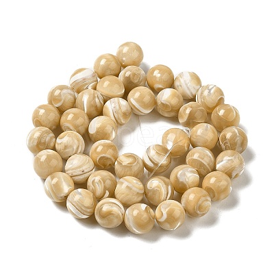 Natural Trochus Shell Beads Strands SHEL-K006-18D-1