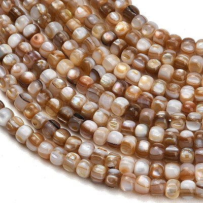 Natural Freshwater Shell Beads Strands SH-CBA93AD-03-1