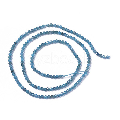 Natural Apatite Beads Strands X-G-F596-29-2mm-1
