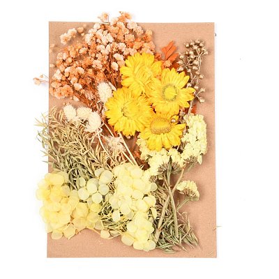 Dried Flower DIY-B018-15-1