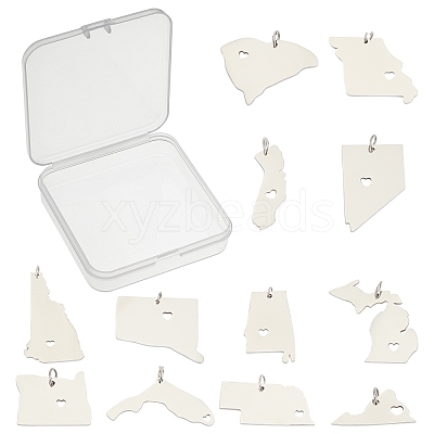12Pcs 12 Style 201 Stainless Steel Pendants STAS-SC0002-36P-1