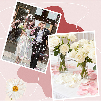 300Pcs Polyester Artificial Rose Flower Petals FIND-CN0002-43A-1