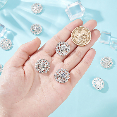 30Pcs Alloy Rhinestone Cabochons ALRI-GA0001-09S-1