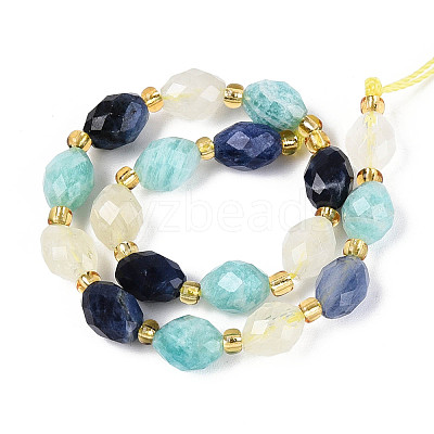 Natural Sodalite & Flower Amazonite & Lemon Quartz Beads Strands G-N358-04A-07-1
