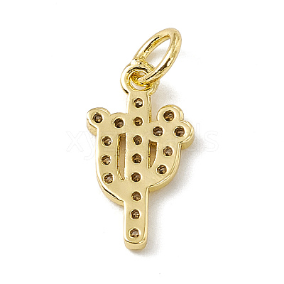 Brass Micro Pave Cubic Zirconia Charms ZIRC-F132-04G-1