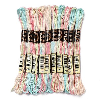 10 Skeins 6-Ply Polyester Embroidery Floss OCOR-K006-A74-1