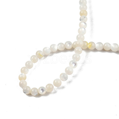 Natural White Shell Bead Strands X-SSHEL-N003-144C-01-1