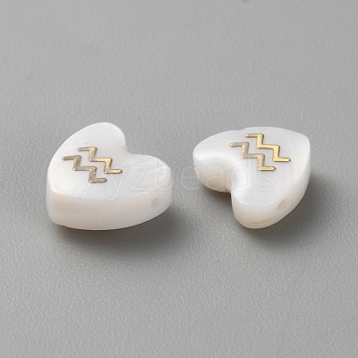 5Pcs Natural White Shell Beads BSHE-TAC0004-02A-1