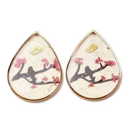 Brass & Transparent Epoxy Resin & Dried Flower Pendants RESI-G133-03G-02-1