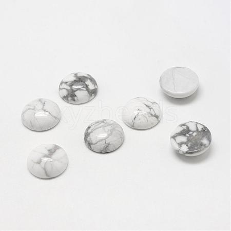 Natural Howlite Gemstone Cabochons G-T020-20mm-01-1