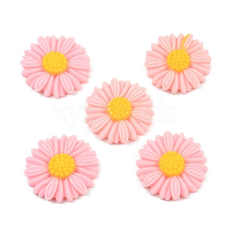 Opaque Resin Cabochons LS-RESI-XCP0002-48-1