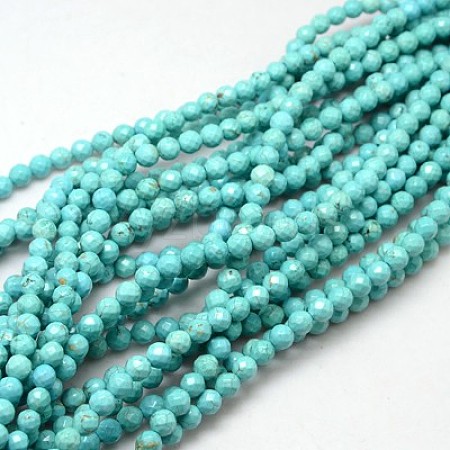 Natural Howlite Round Beads Strands TURQ-L017-12mm-02B-1