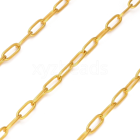 Stainless Steel Oval Paperclip Chains CHS-G040-01A-G-1
