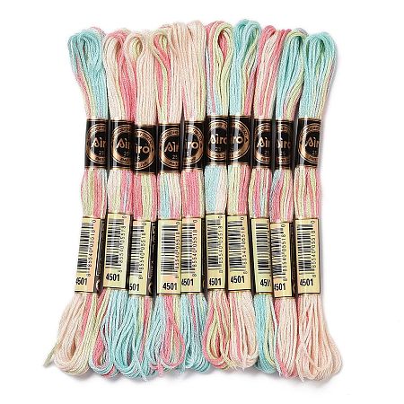 10 Skeins 6-Ply Polyester Embroidery Floss OCOR-K006-A74-1