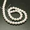 Shell Pearl Beads Strands BSHE-E008-14mm-12-3