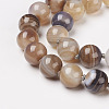 Natural Dyed Agate Beads Necklaces NJEW-F139-10mm-15-2