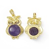 Natural Amethyst Pendants G-H283-03D-2