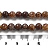 Natural Gemstone Beads Strands G-H045-A01-10MM-5