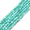 Natural Freshwater Shell Beads Strands X-SHEL-N003-33-A04-1