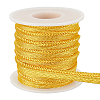 ARRICRAFT 10 Yards Polyester Braided Cord Rope Trim SRIB-AR0001-13-1