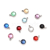 304 Stainless Steel Charms STAS-I165-04B-P-1