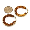 304 Stainless Steel Hoop Earrings For Women EJEW-B113-02G-03-5