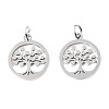 304 Stainless Steel Pendants LS-STAS-T046-JA350-1A-P-3