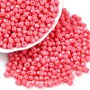 Baking Painted Glass Seed Beads SEED-C004-01N-3