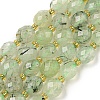 Natural Prehnite Beads Strands G-N342-43-1